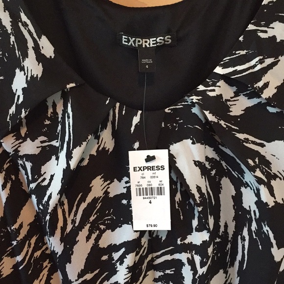 Express Dress - Picture 4 of 4